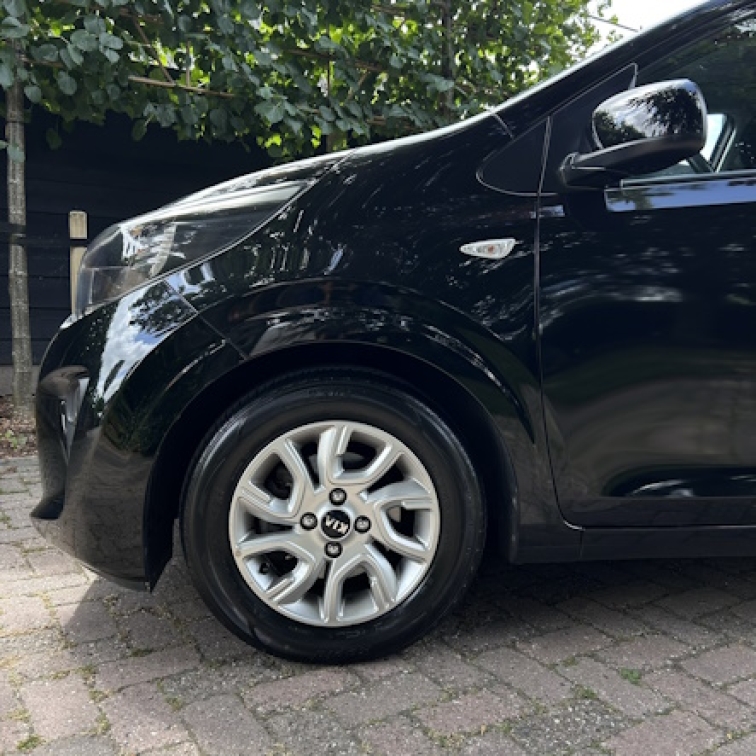 IMG_3984.JPEG